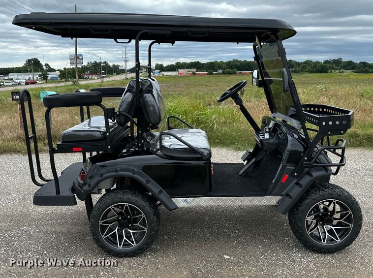 image for item NQ9565 2024 Dynamic Carts golf cart