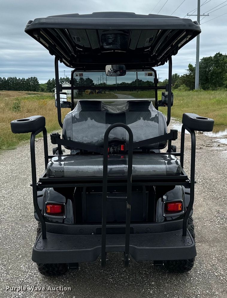 image for item NQ9565 2024 Dynamic Carts golf cart