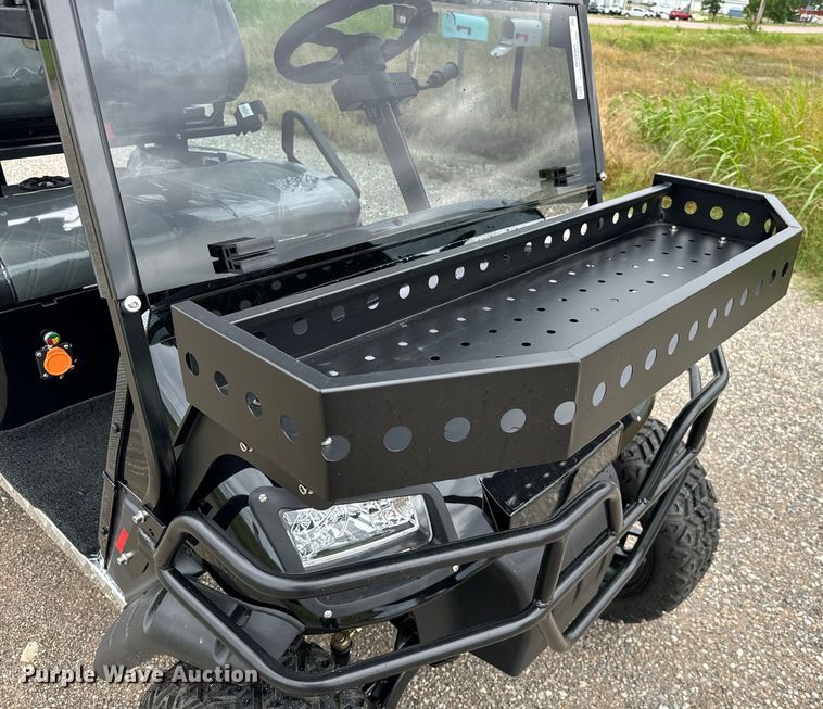 image for item NQ9565 2024 Dynamic Carts golf cart