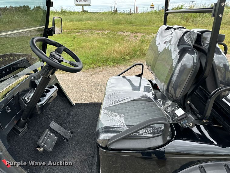 image for item NQ9565 2024 Dynamic Carts golf cart