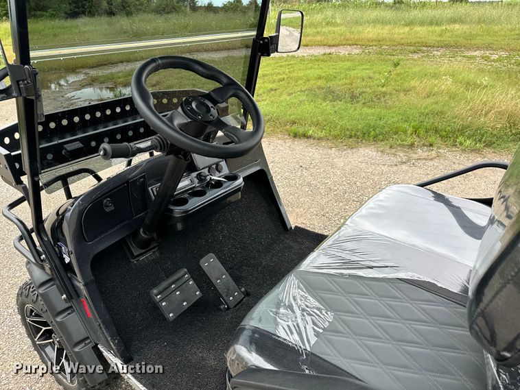 image for item NQ9565 2024 Dynamic Carts golf cart
