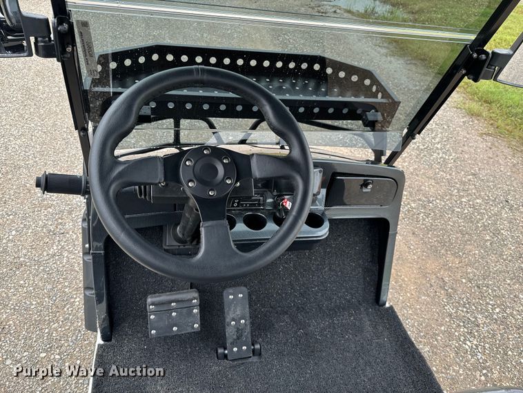 image for item NQ9565 2024 Dynamic Carts golf cart