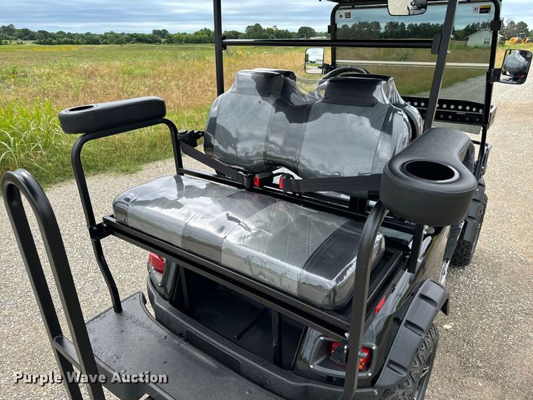 image for item NQ9565 2024 Dynamic Carts golf cart