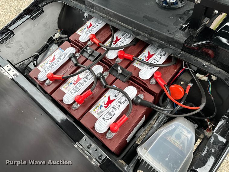 image for item NQ9565 2024 Dynamic Carts golf cart