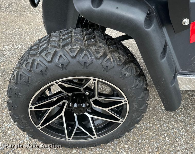 image for item NQ9565 2024 Dynamic Carts golf cart