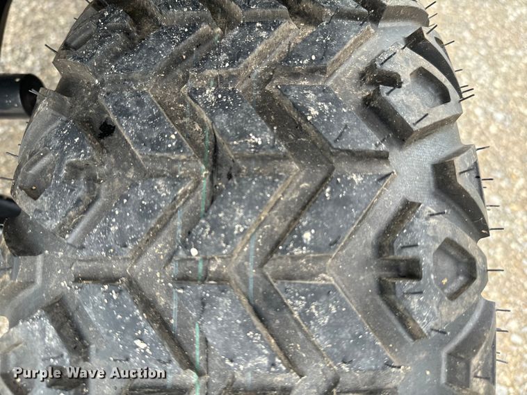 image for item NQ9565 2024 Dynamic Carts golf cart