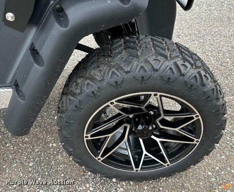 image for item NQ9565 2024 Dynamic Carts golf cart