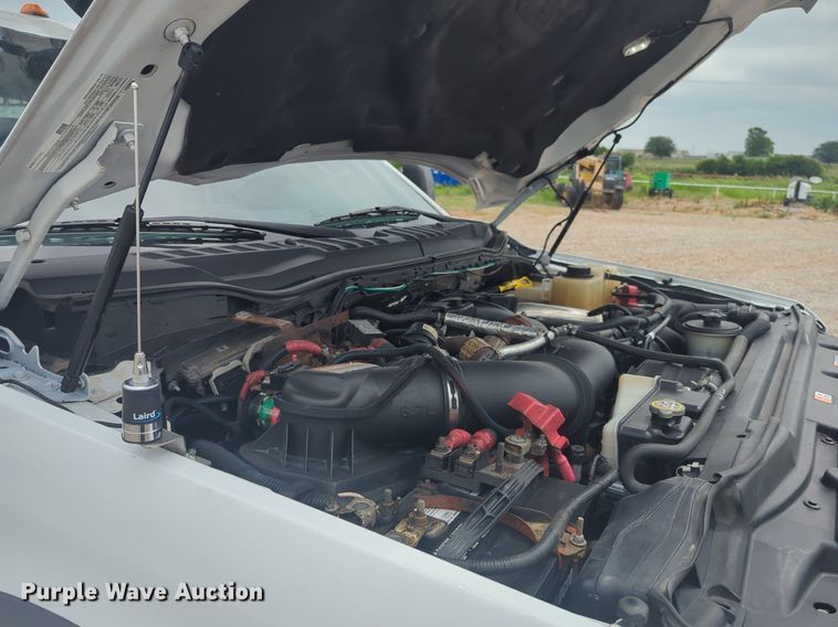 image for item NG9874 2017 Ford  F550 bucket truck