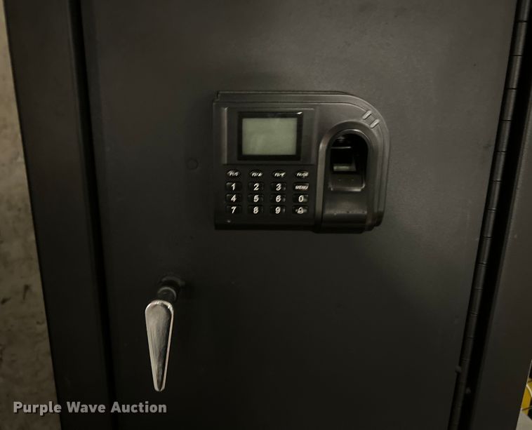 image for item EK4831 (3) MedixSafe safes