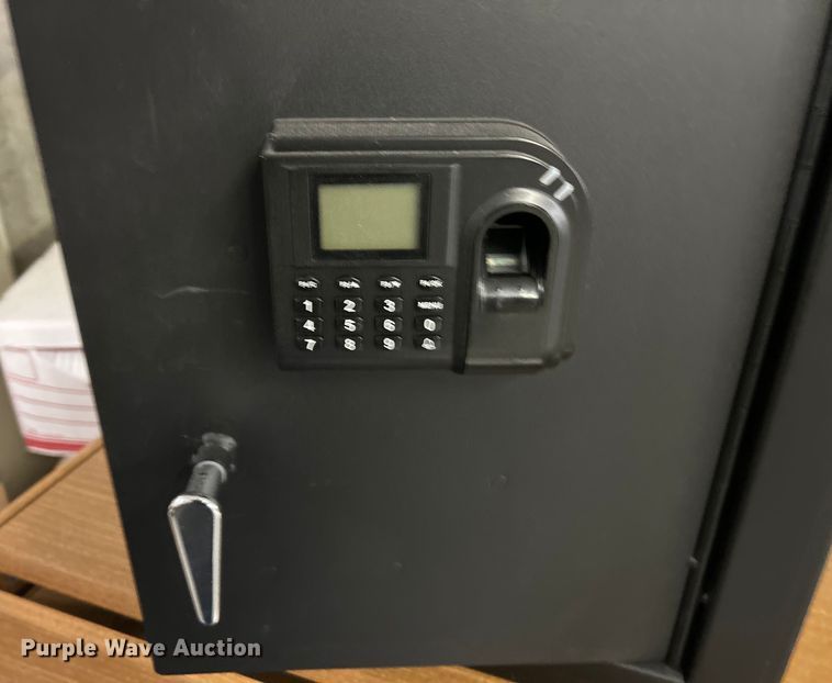image for item EK4831 (3) MedixSafe safes