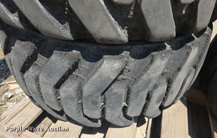 image for item EK6093 (6) Galaxy 12x16.5 tires