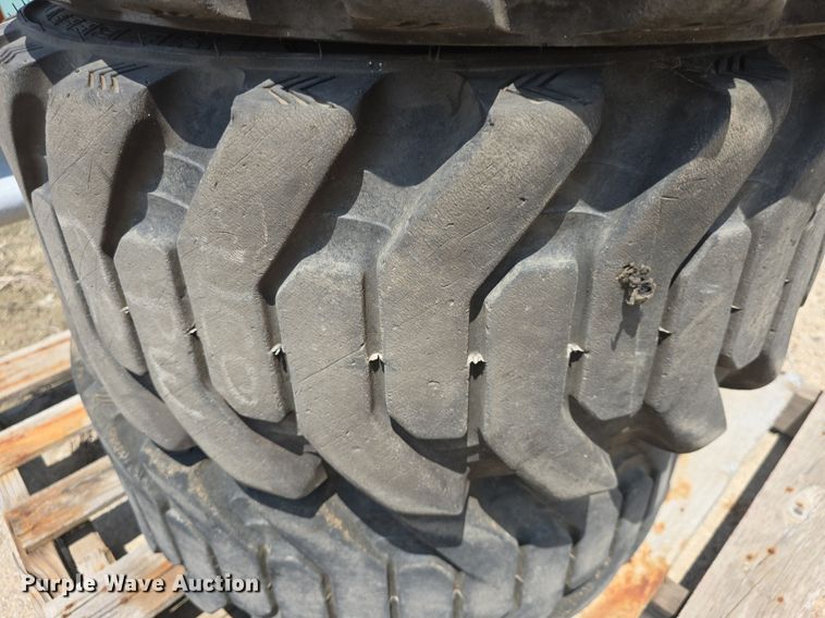 image for item EK6095 (4) Galaxy 12x16.5 tires