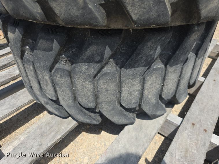 image for item EK6096 (4) Galaxy 12x16.5 tires