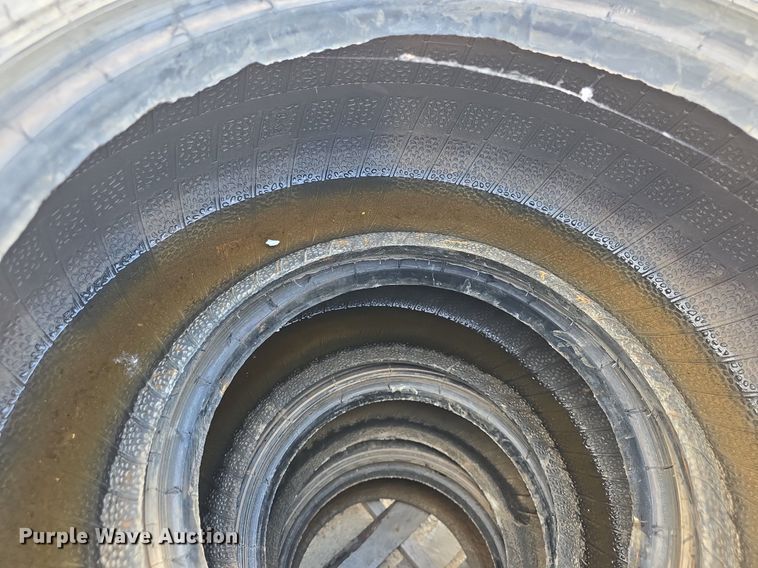 image for item EK6096 (4) Galaxy 12x16.5 tires