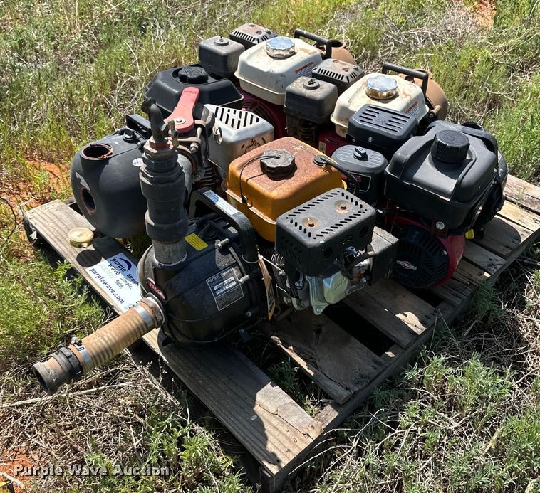 image for item DK6919 (5) 2