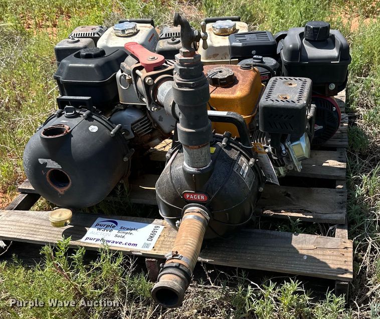 image for item DK6919 (5) 2