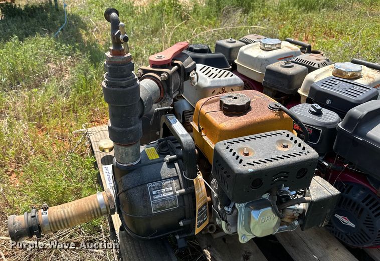 image for item DK6919 (5) 2