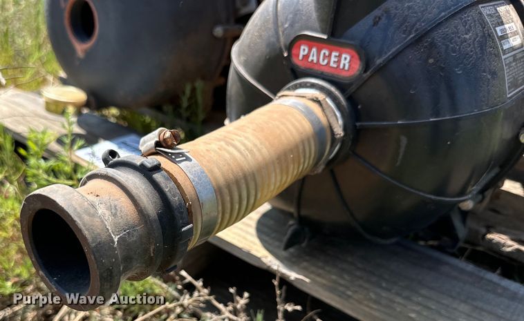 image for item DK6919 (5) 2