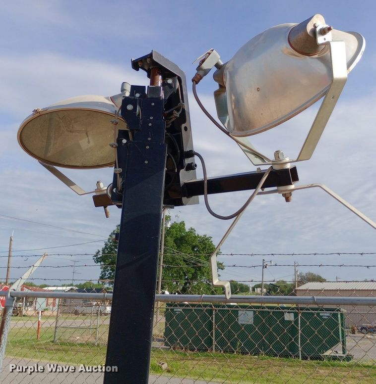 image for item DO7031 (3) light plants