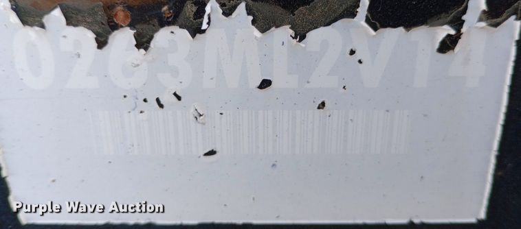 image for item DO7031 (3) light plants