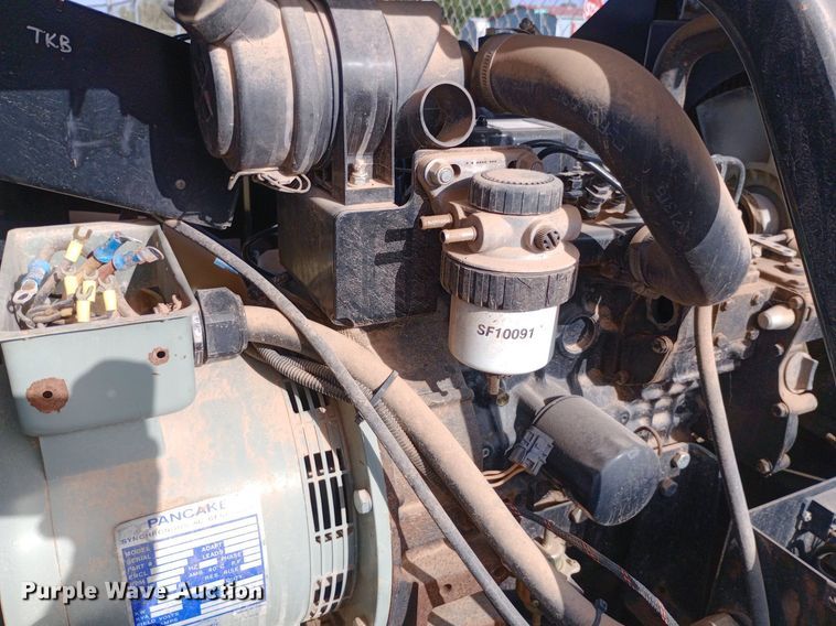 image for item DO7031 (3) light plants