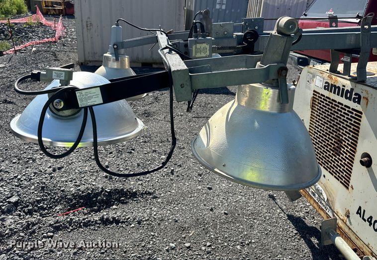 image for item DS5569 Amida  AL4060D-4MH light plant