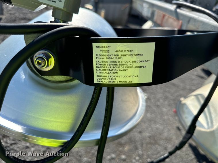 image for item DS5569 Amida  AL4060D-4MH light plant