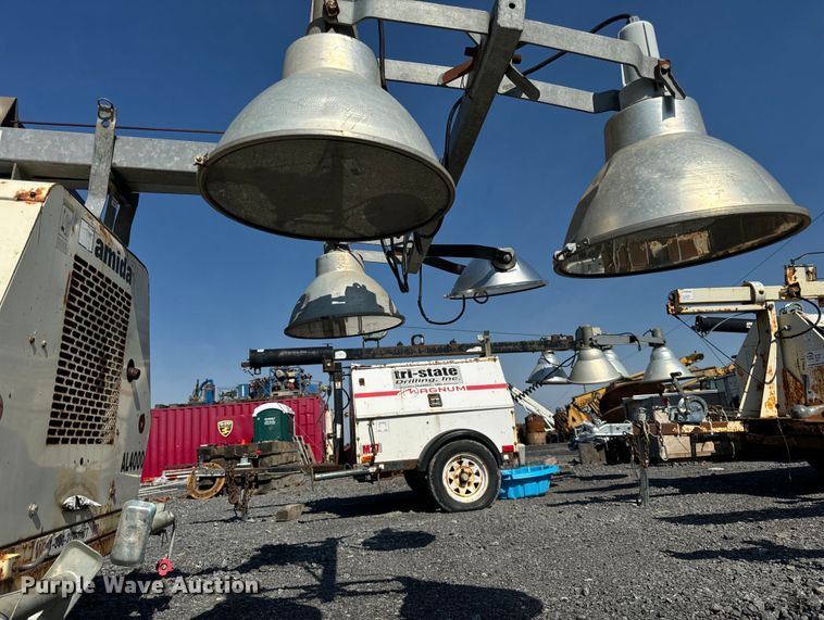 image for item DS5569 Amida  AL4060D-4MH light plant