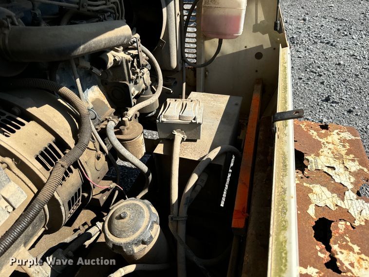 image for item DS5569 Amida  AL4060D-4MH light plant