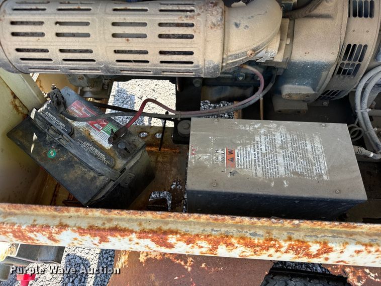 image for item DS5569 Amida  AL4060D-4MH light plant