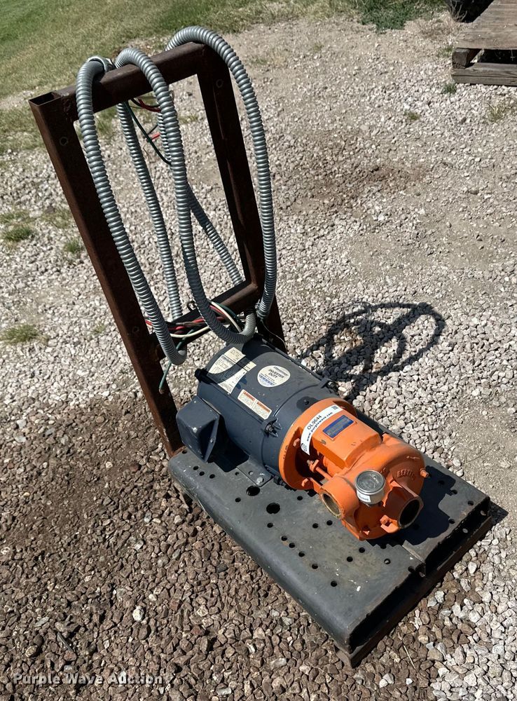 image for item OL9644 Berkeley B1-1/2TPM pump