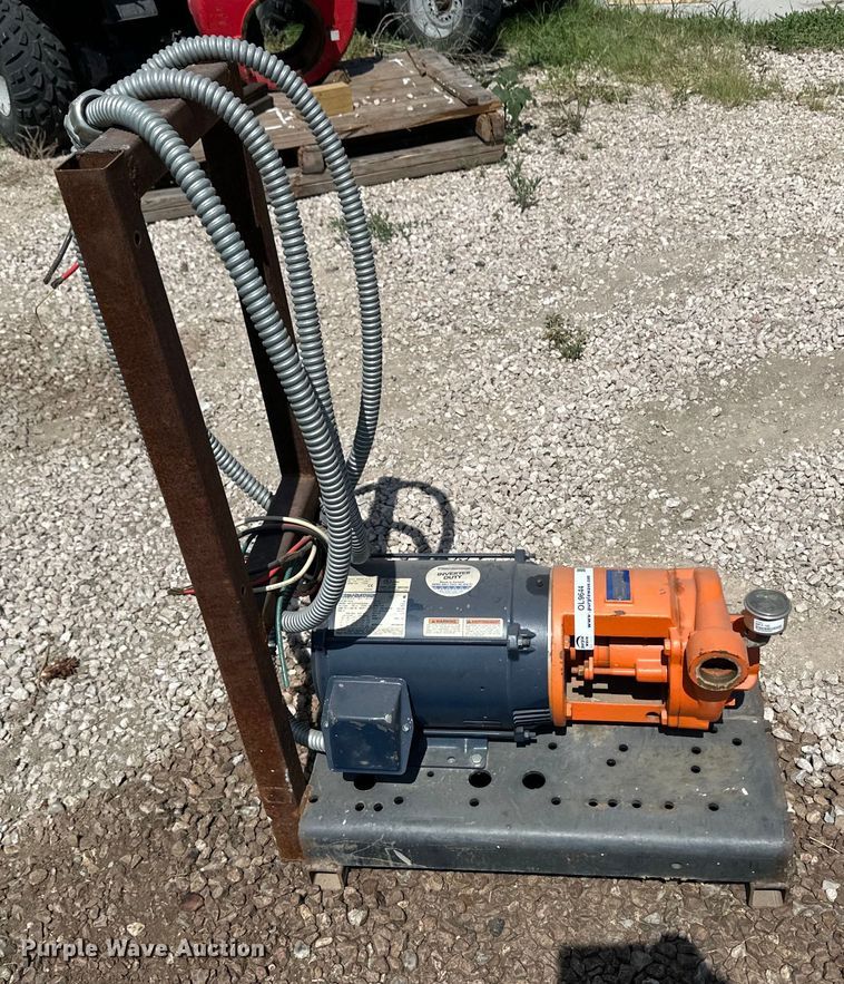 image for item OL9644 Berkeley B1-1/2TPM pump