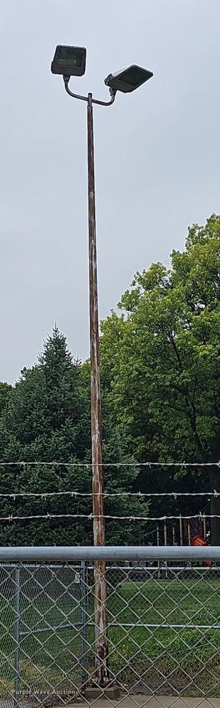 image for item DP0999 (4) light poles