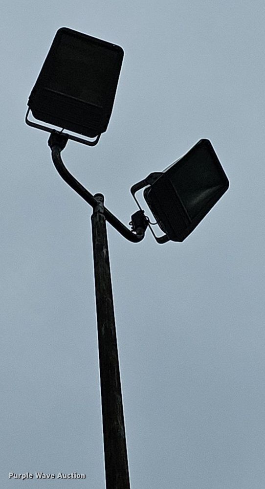 image for item DP0999 (4) light poles