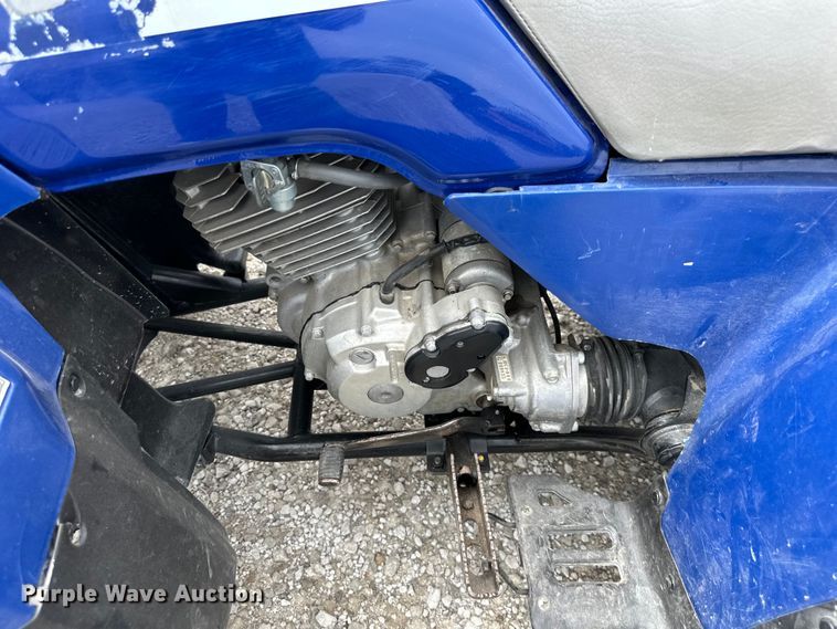 image for item DS4193 1993 Honda  TRX300 ATV