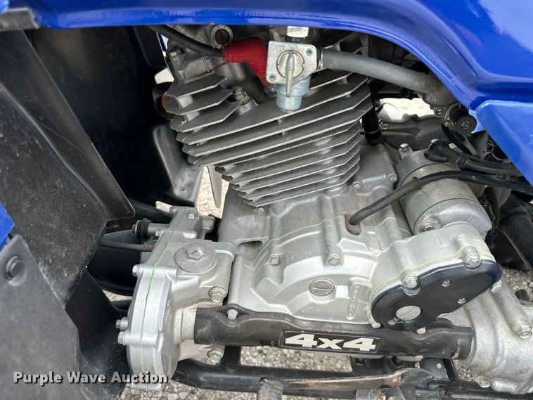 image for item DS4194 1993 Honda  TRX300 ATV