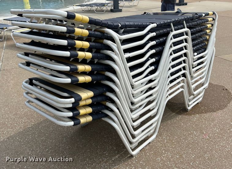 image for item EK4945 (20) pool lounge chair