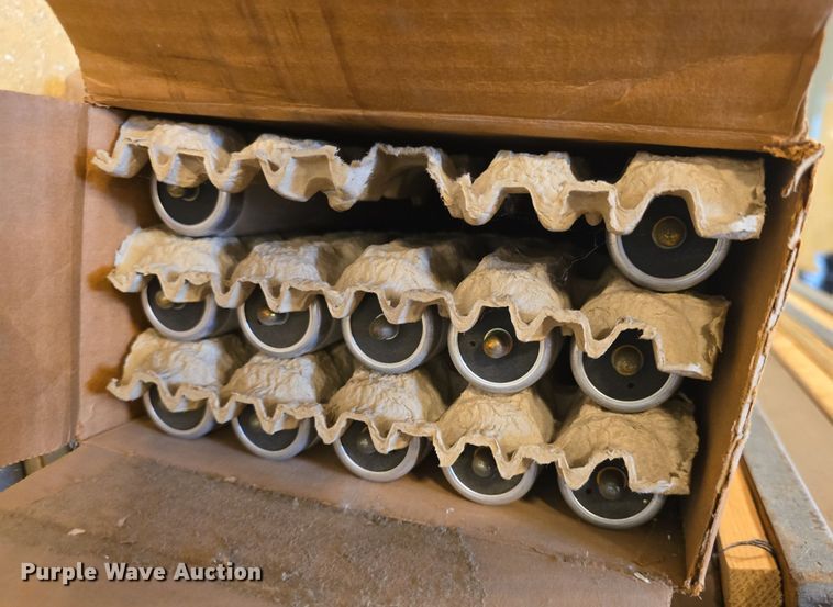 image for item EK6173 (24) 8' L light bulbs