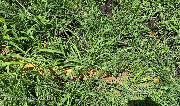 image for item DX0846 Hay rake