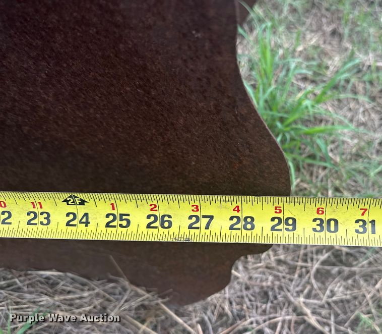 image for item DO7110 Rome disk