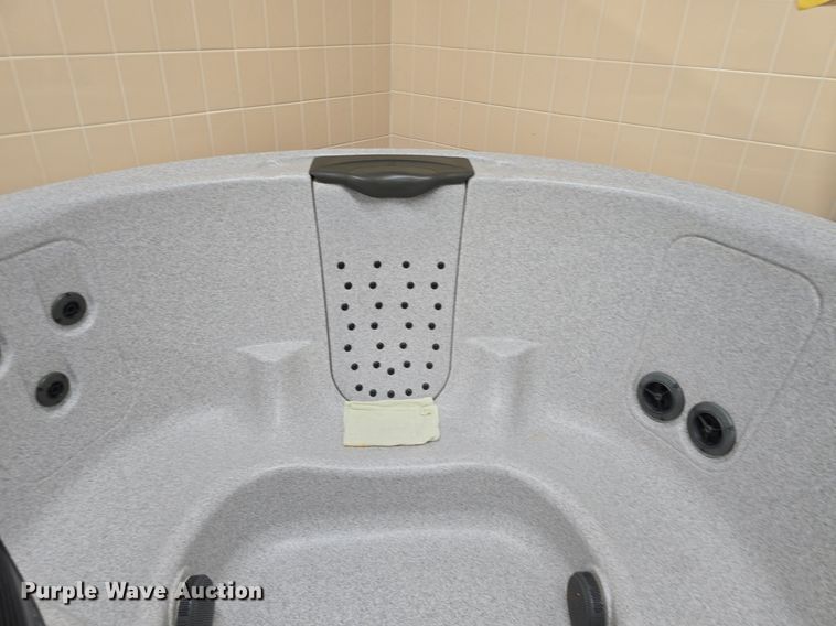 image for item EK6246 Bullfrog Sport X spa