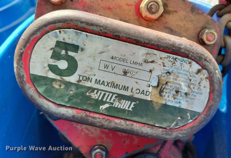 image for item DR4375 (8) Weitz chain hoists