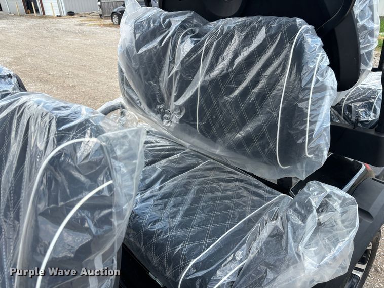 image for item DS2498 2024 VIP EV EV60V-6 golf cart