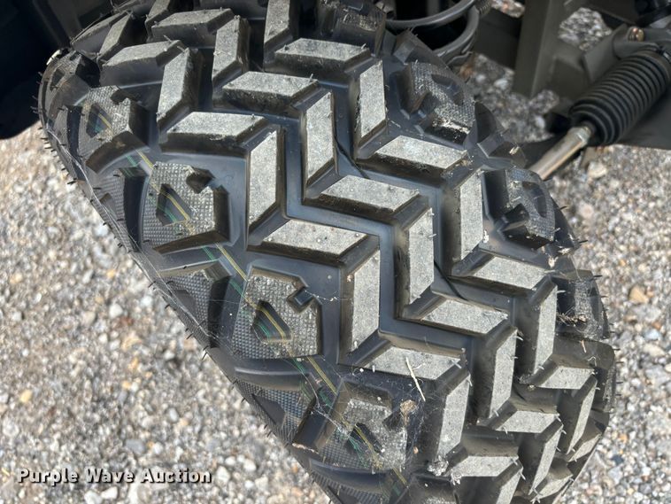 image for item DS2498 2024 VIP EV EV60V-6 golf cart