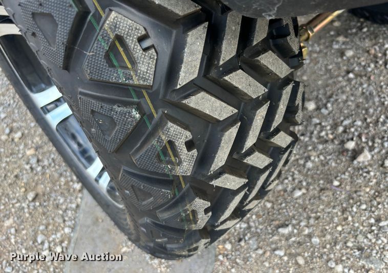 image for item DS2498 2024 VIP EV EV60V-6 golf cart