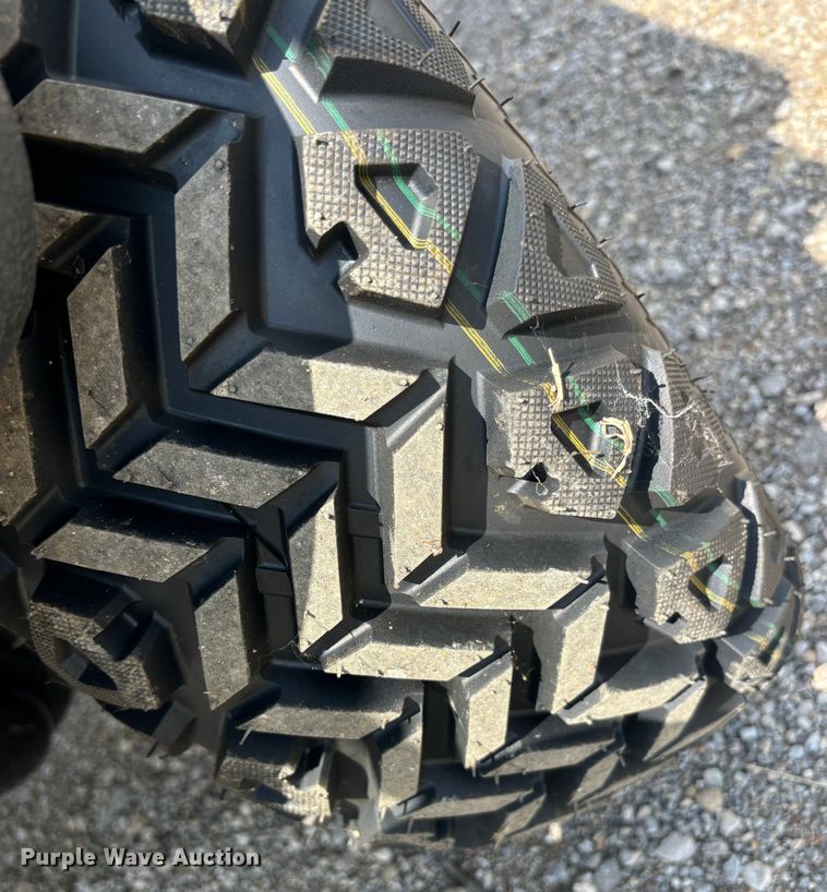 image for item DS2499 2024 VIP EV EV60V-6 golf cart