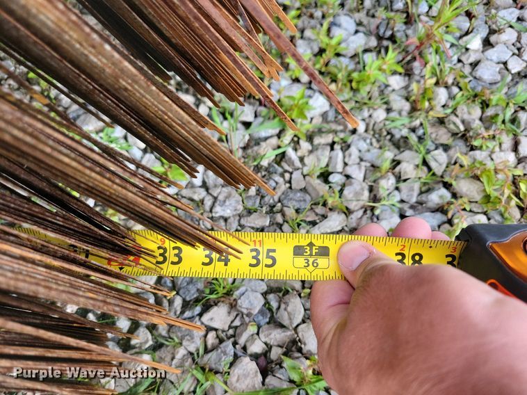 image for item DR4315 2002 Sterling SC8000 street sweeper truck