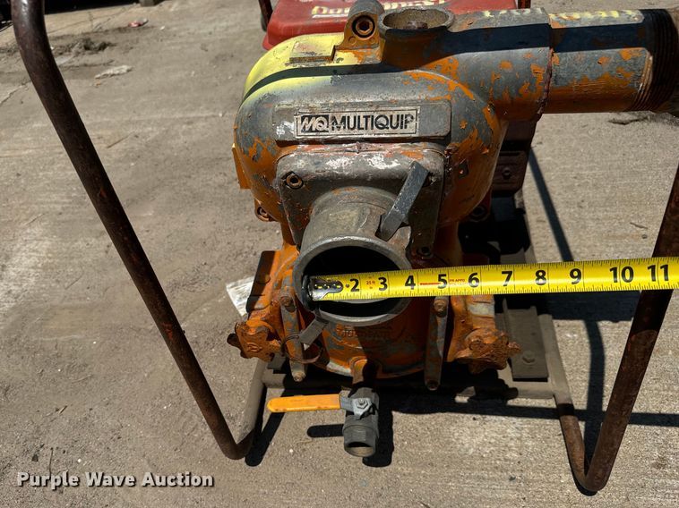 image for item LF9928 (4) pumps