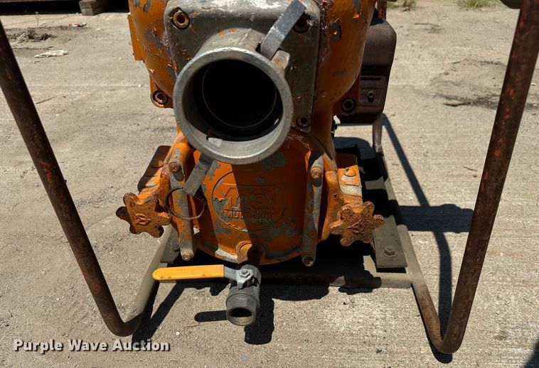 image for item LF9928 (4) pumps