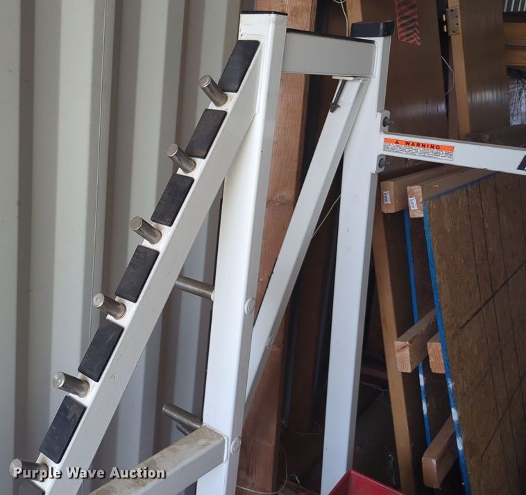 image for item DL1058 Body Masters workout equipment